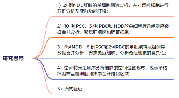 Journal of Hepatology | PSC肝脏的免疫时空景观