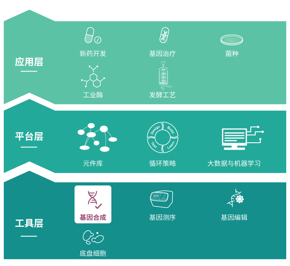 99%不知道，基因合成第一性原理？