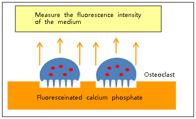 2715433069762957.gif 2715433069762957.gif