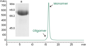产品细节图片10