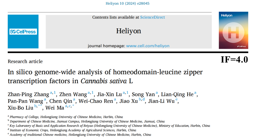 HD-Zip转录因子的全基因组生物信息