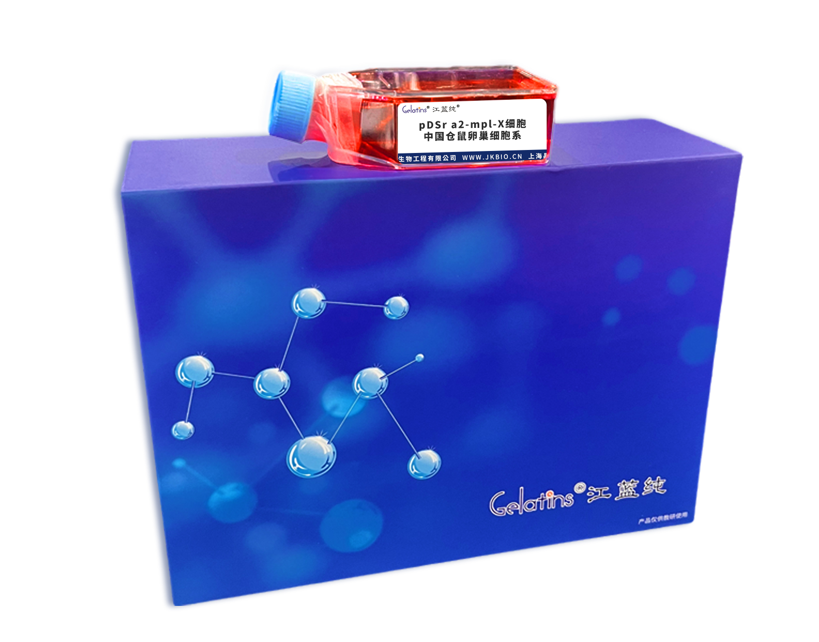 pDSr a2-mpl-X 中国仓鼠卵巢细胞系