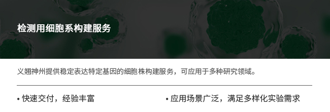 重组蛋白表达服务