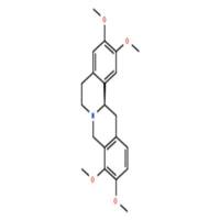 右旋四氢巴马汀