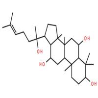 20(R)原人参三醇