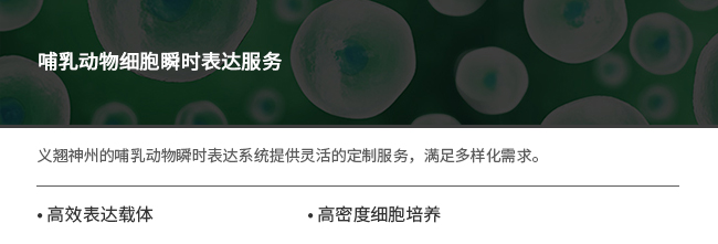 重组蛋白表达服务