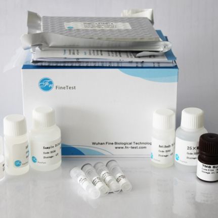 Rat Adra1a (Alpha-1A adrenergic receptor) ELISA Kit