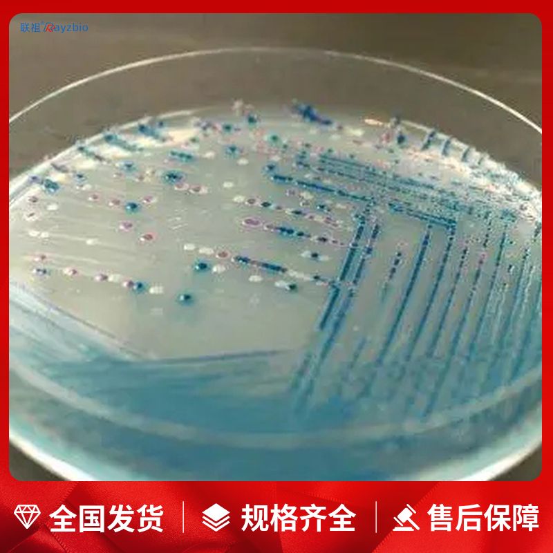 大肠杆菌／大肠菌群显色培养基(第二代)