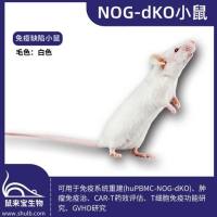 NOG-dKO小鼠