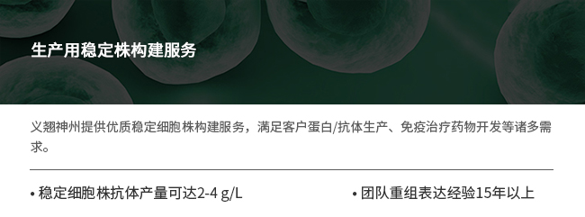 重组蛋白表达服务