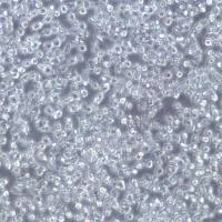 OCI-AML-3 人急性髓细胞性白血病细胞