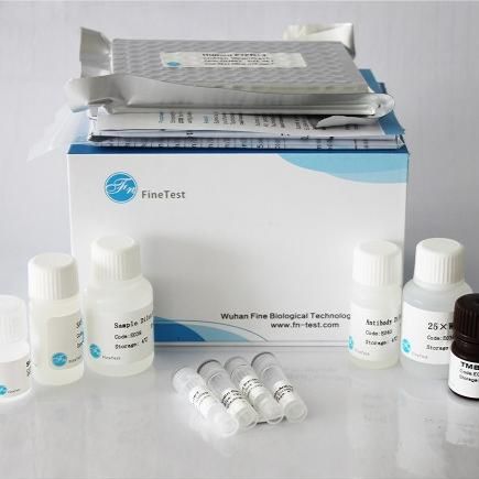 Rabbit PGR (Progesterone receptor) ELISA Kit|兔PGR ELISA试剂盒