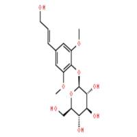 紫丁香酚苷(刺五加苷B)