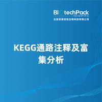 KEGG通路注释及富集分析