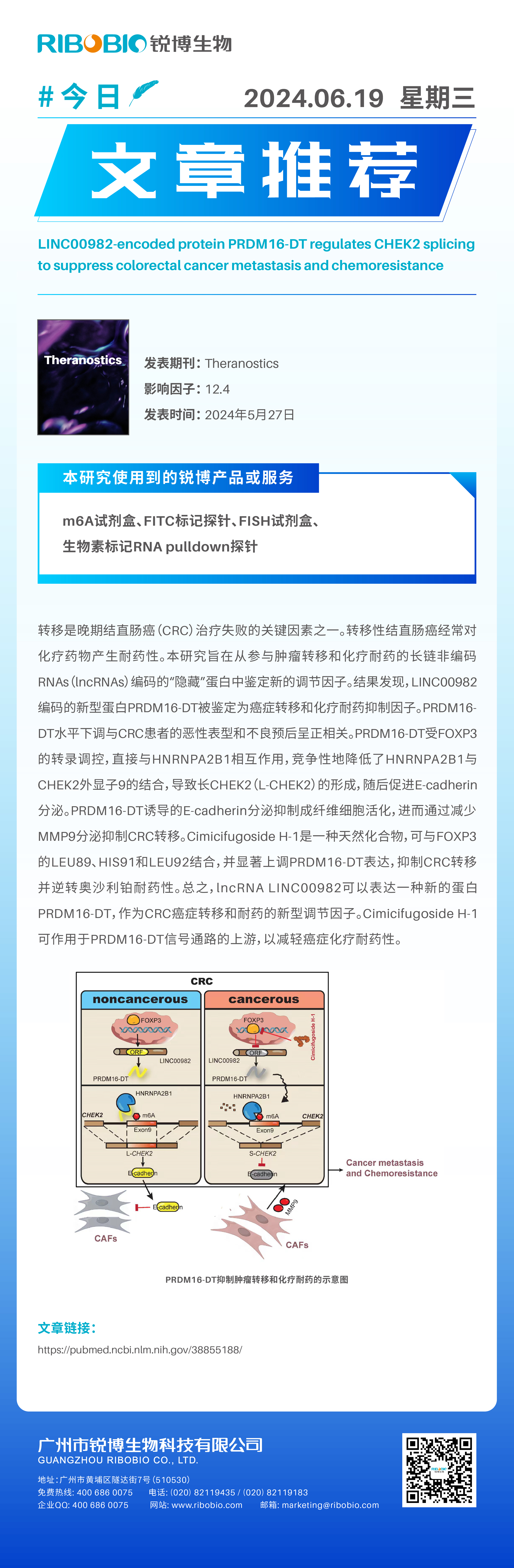 今日文章推荐（IF12.4）丨LINC00982编码蛋白PRDM16-DT调节CHEK2剪接以抑制CRC转移和化疗耐药