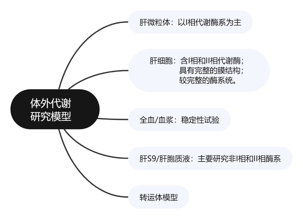 新闻图片5