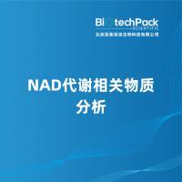 NAD代谢相关物质分析