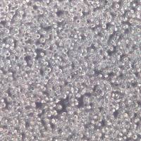 mv-4-11 细胞株、mv-4-11 细胞、mv-4-11 慢性骨髓单核细胞性白血病