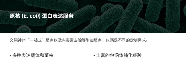 重组蛋白表达服务