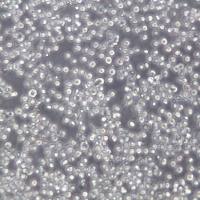 KU812细胞系、KU812细胞、KU812外周血嗜碱性白血病细胞