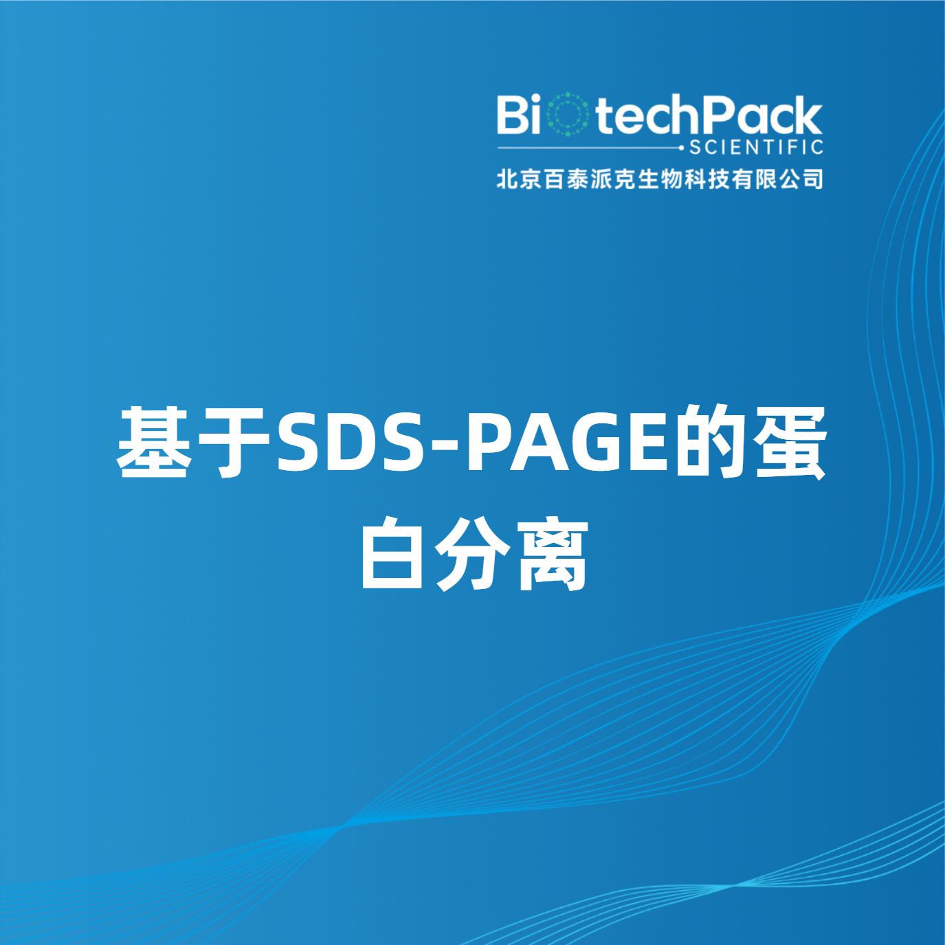 基于SDS-PAGE的蛋白分离