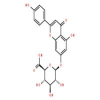 芹菜素-7-O-葡萄糖醛酸苷