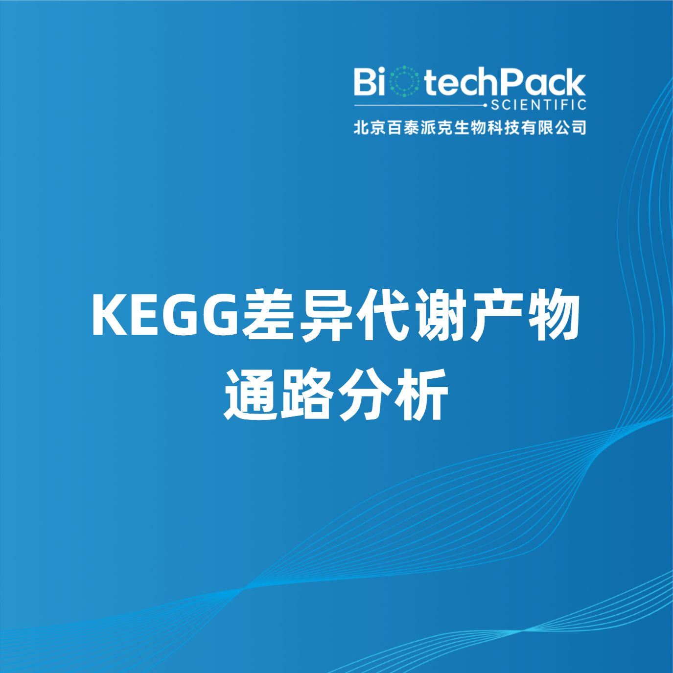 KEGG差异代谢产物通路分析