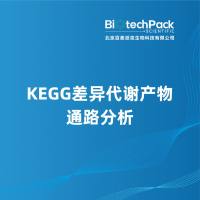 KEGG差异代谢产物通路分析