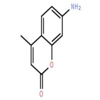 7-氨基-4-甲基香豆素