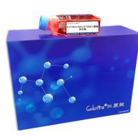 Z173B1C8A11E7B8E2 杂交瘤