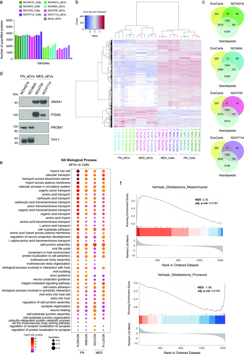 外泌体技术服务