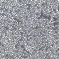 Jurkat 细胞、Jurkat 细胞系、Jurkat 急性T淋巴细胞白血病细胞