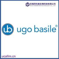 Ugobasile