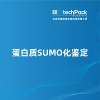 蛋白质SUMO化鉴定