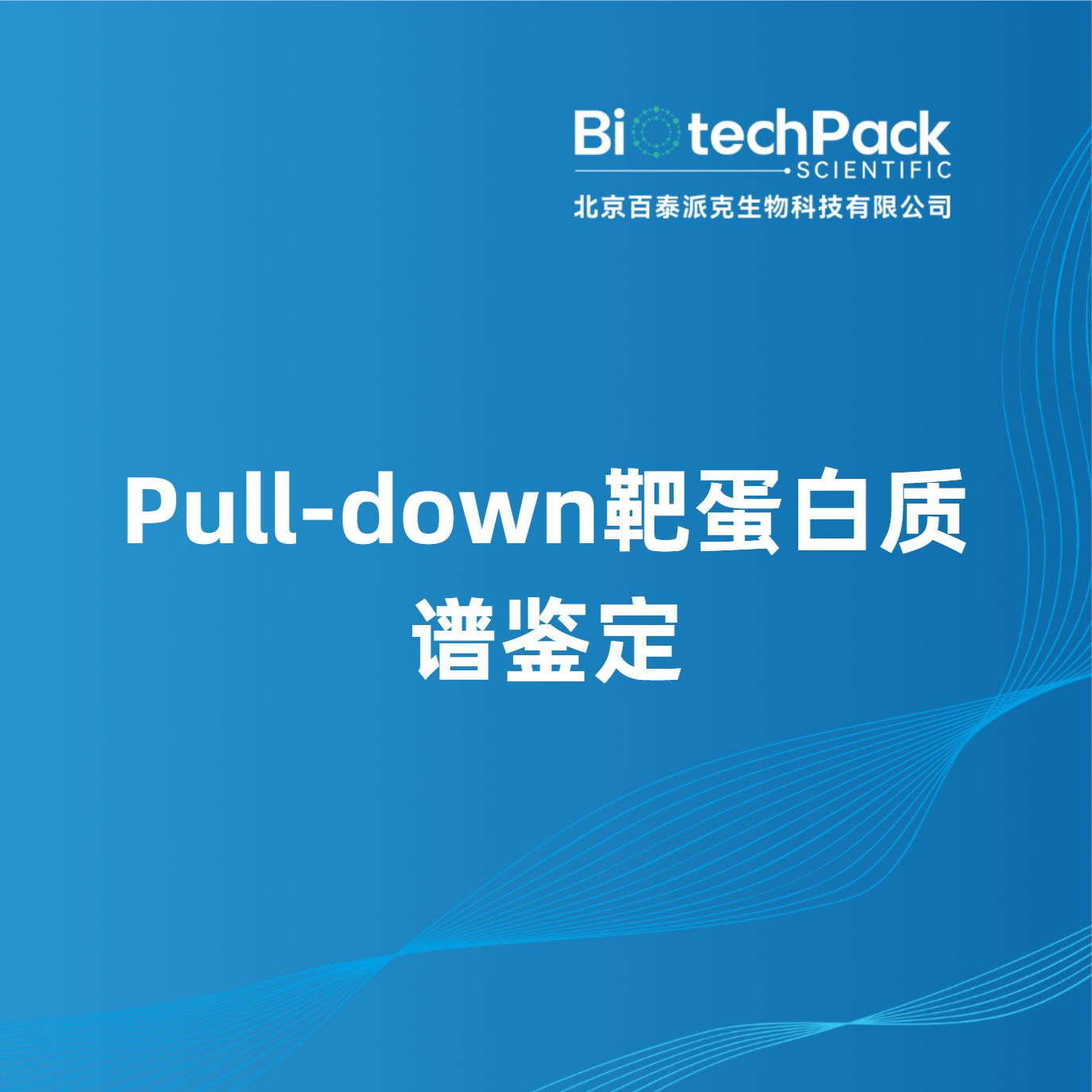 Pull-down靶蛋白质谱鉴定