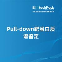 Pull-down靶蛋白质谱鉴定