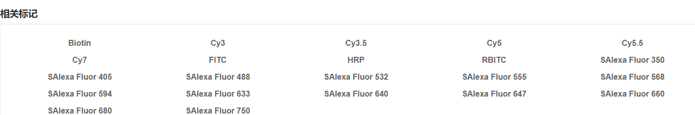 K010004P Anti-GSK3 Beta/GSK3B 