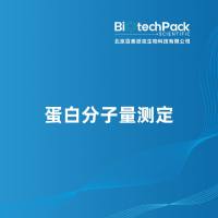 蛋白分子量测定