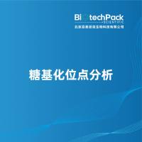 糖基化位点分析