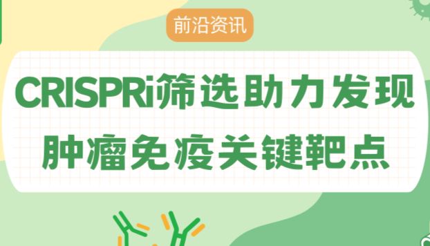 【前沿资讯】CRISPRi筛选助力发现肿瘤免疫关键靶点