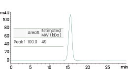 重组蛋白表达服务