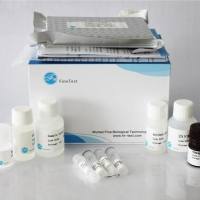 Human 10-HETE (10-Hydroxyeicosatetraenoic Acid) ELISA Kit|人10-HETE ELISA试剂盒