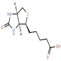 D-生物素