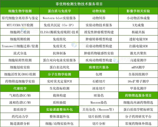实时荧光定量PCR检测