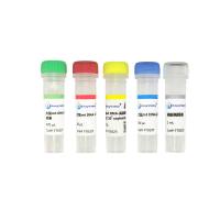 大鼠线粒体DNA探针法PCR试剂盒