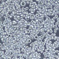 KATO III细胞系、KATO III细胞、KATO III胃癌细胞)