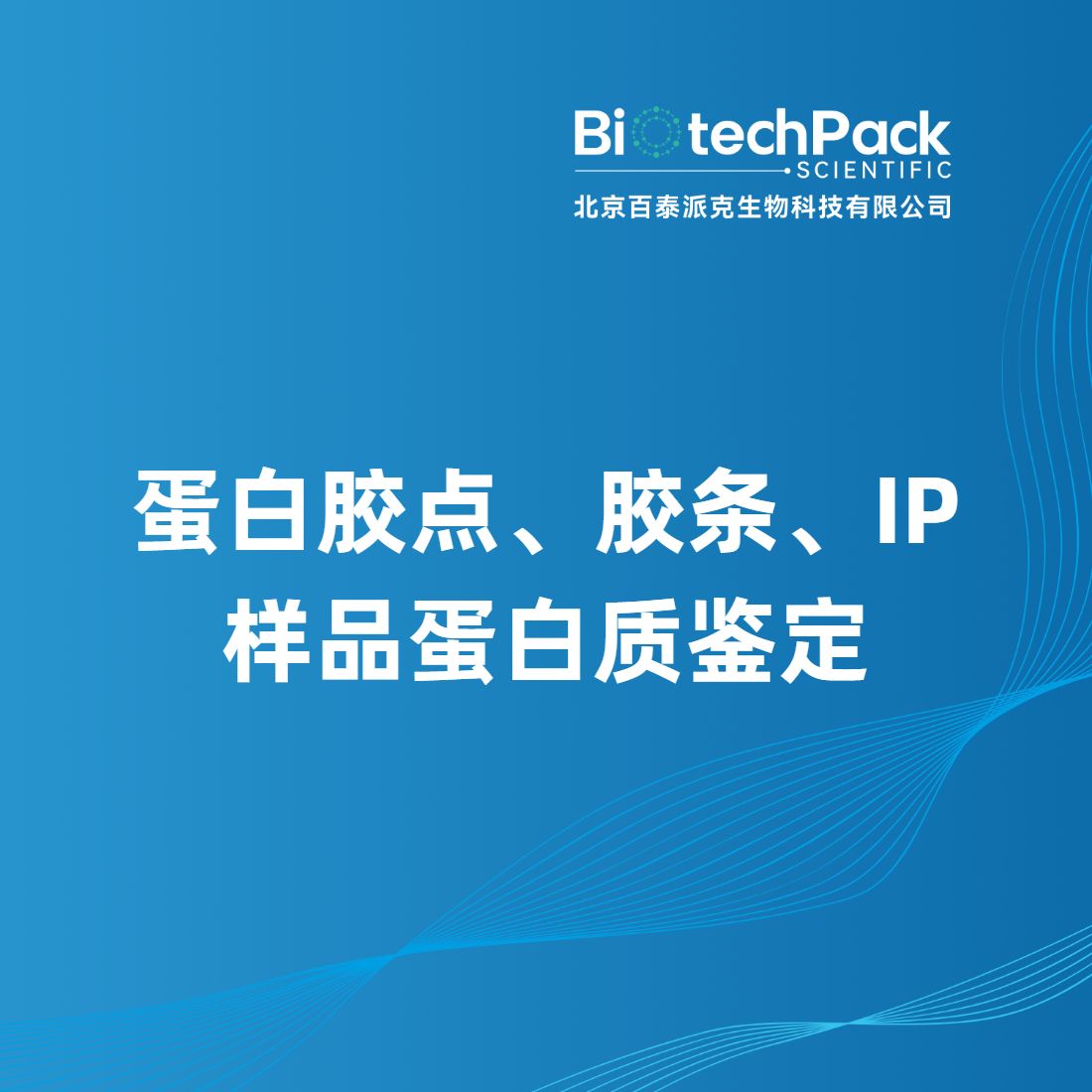 蛋白胶点、胶条、IP样品蛋白质鉴定