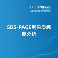 SDS-PAGE蛋白质纯度分析