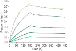 产品细节图片11