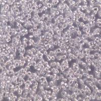 E.G7-OVA细胞、E.G7-OVA细胞株、E.G7-OVA细胞系